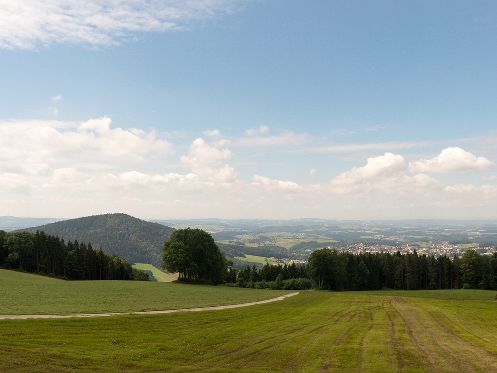 Ein Sonnentag auf der Sonnenalm