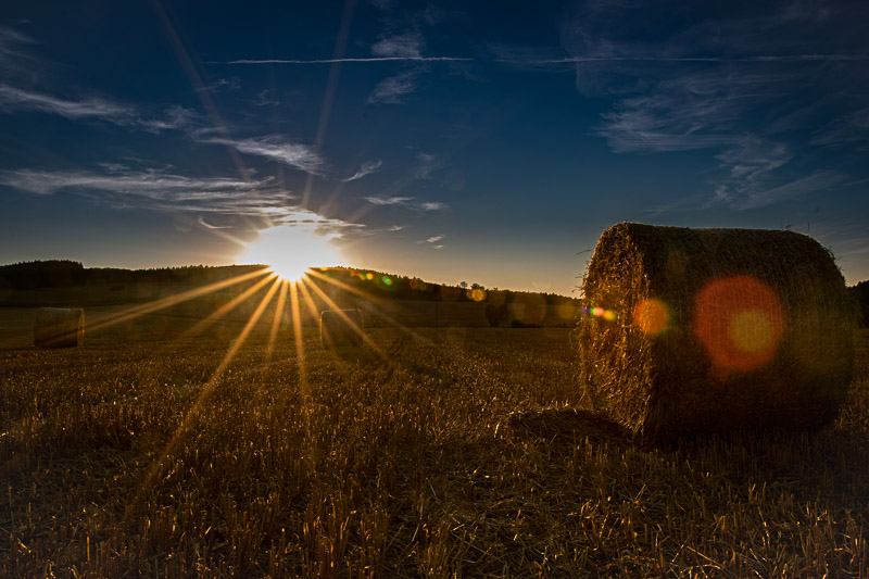 Ein Sonnenuntergang auf dem Feld