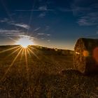 Ein Sonnenuntergang auf dem Feld