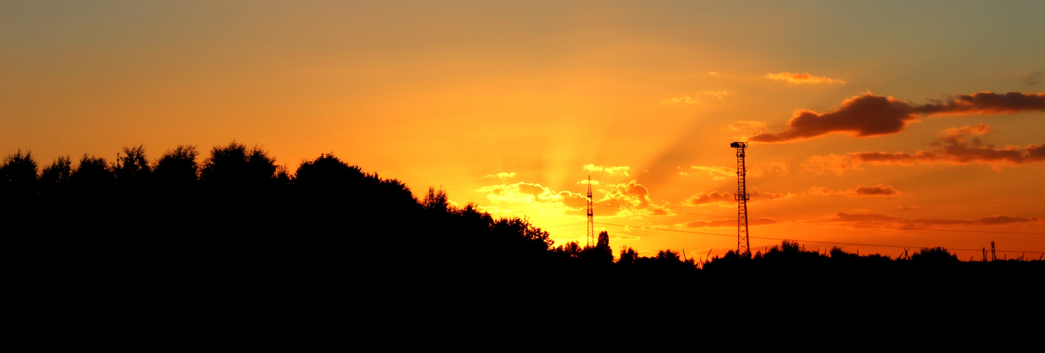 Ein Sonnenuntergang hinter dem Wald ( Bäume )