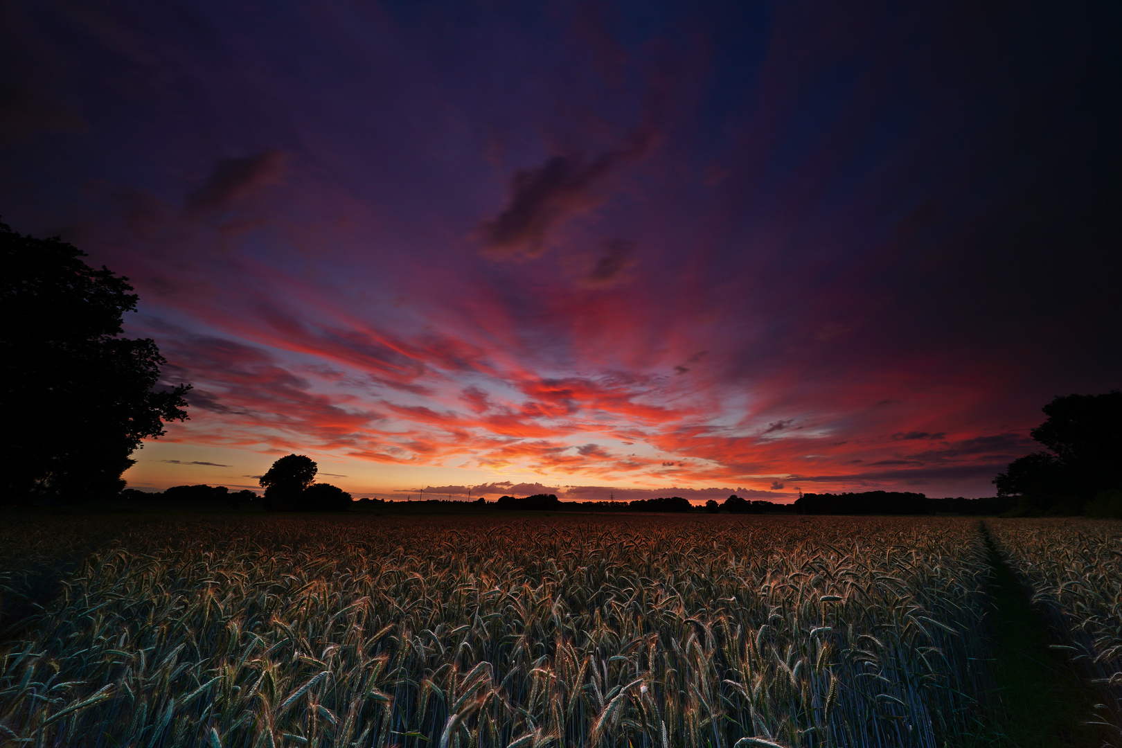 Ein Sonnenuntergang im Kornfeld