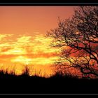 Ein Sonnenuntergang in Afrika oder doch eher in Norddeutschland ...