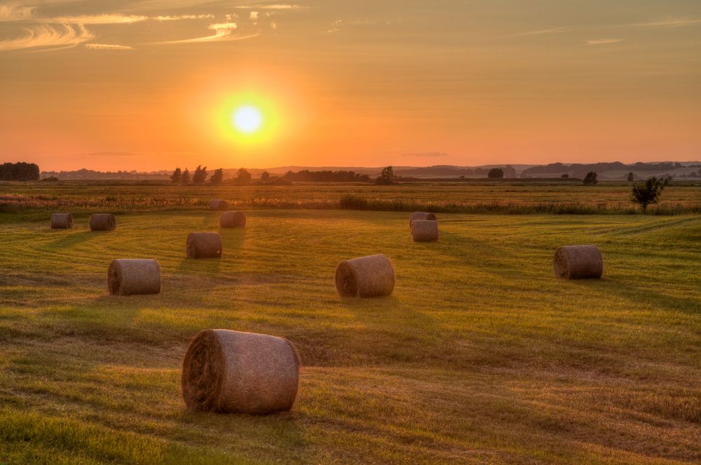 Ein Sonnenuntergang in der Nähe von Gager / Rügen