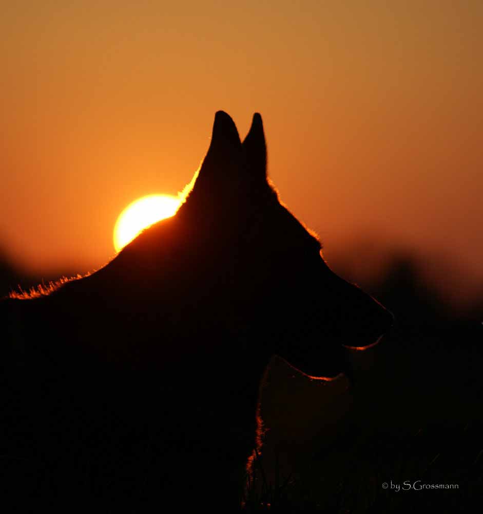 Ein Sonnenuntergang mal anders