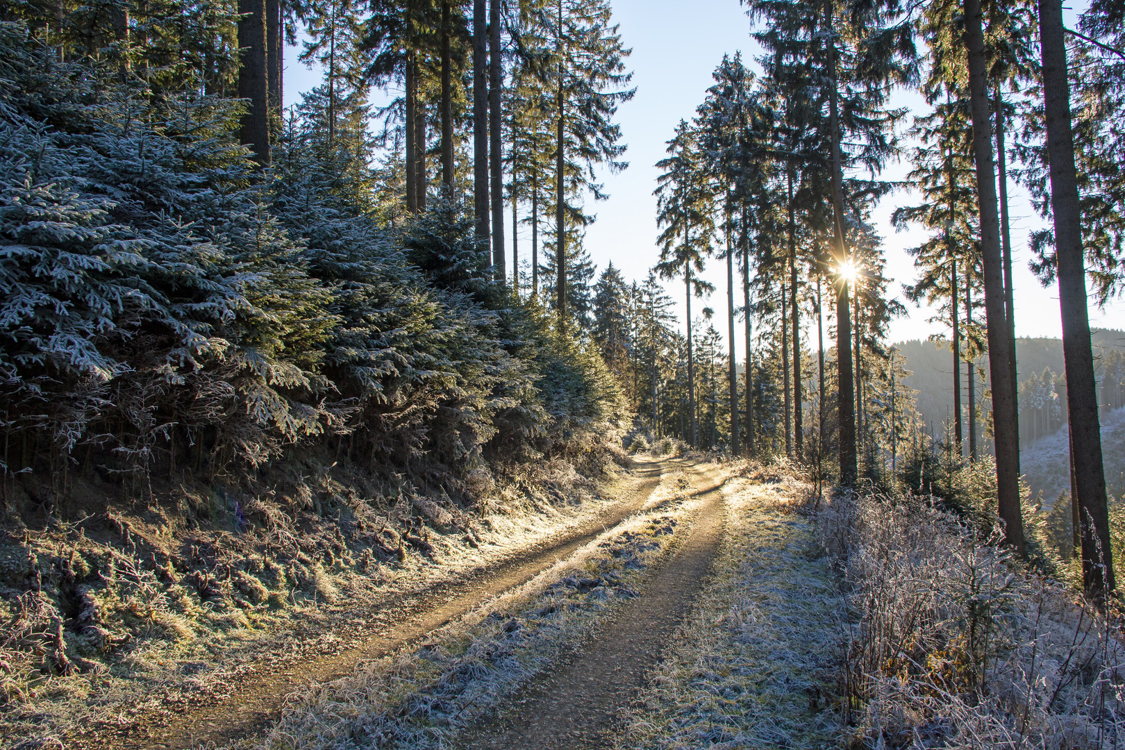 Ein sonniger 2. Advent