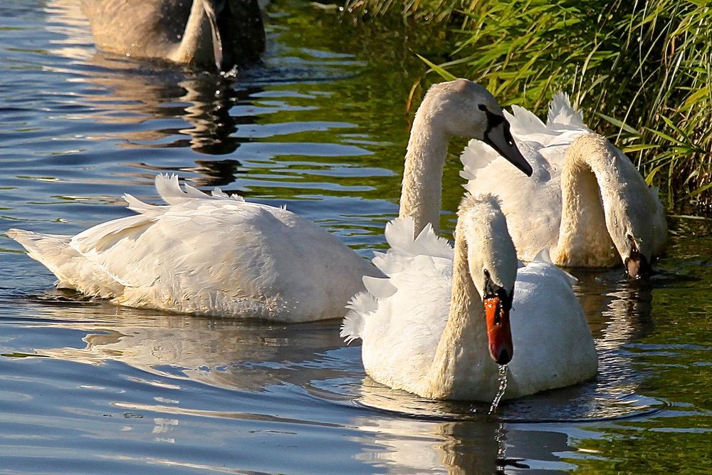 ein sonniger Ausflug im Herbst