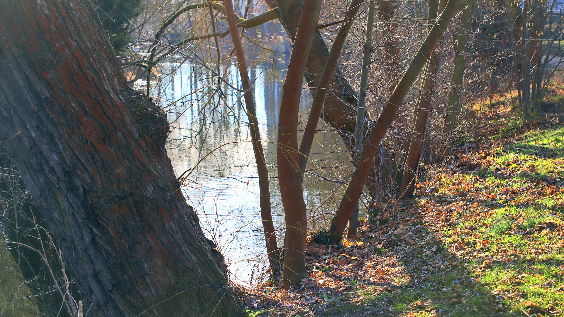 Ein sonniger Februar-Tag