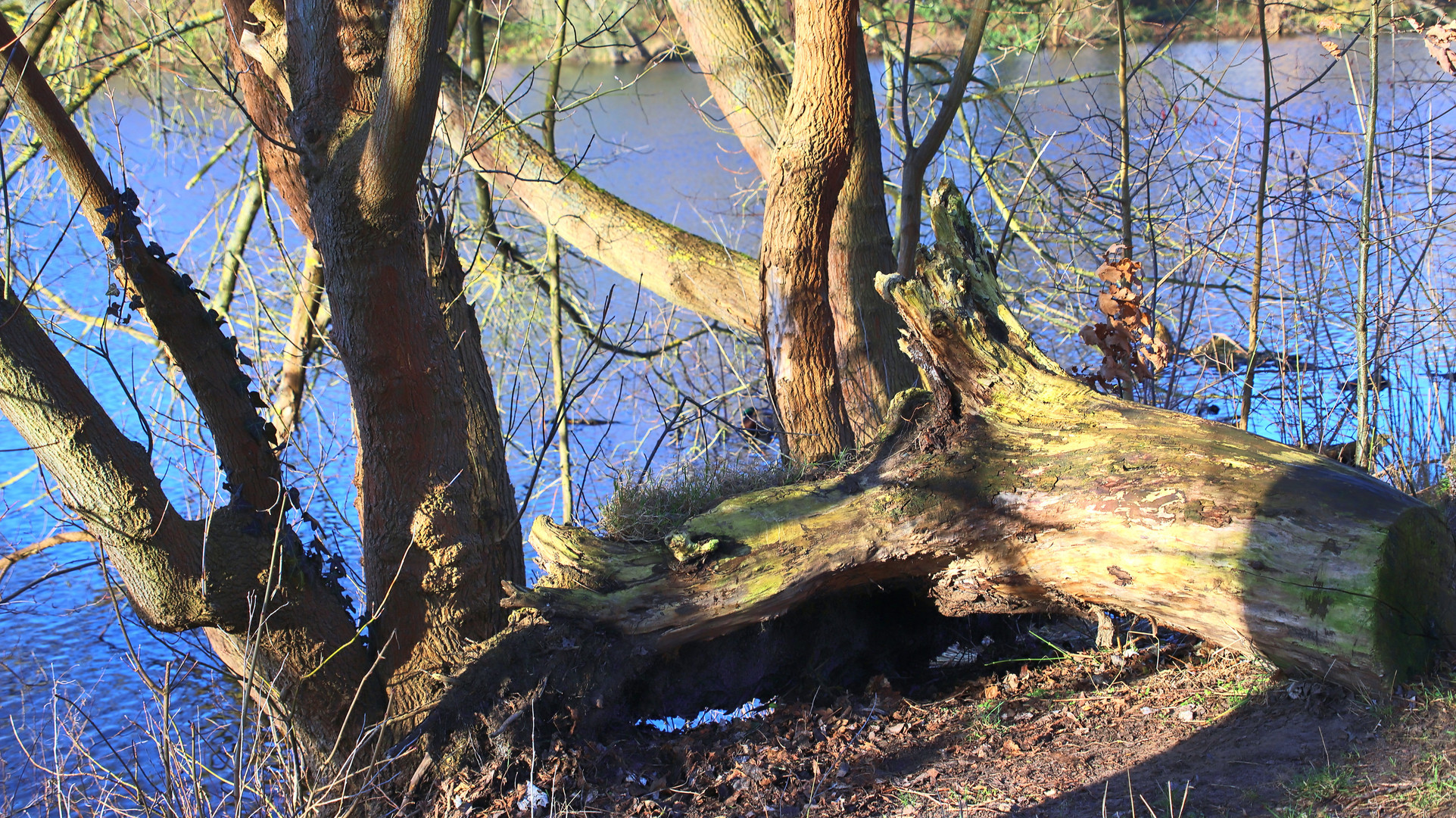 Ein sonniger Februar-Tag