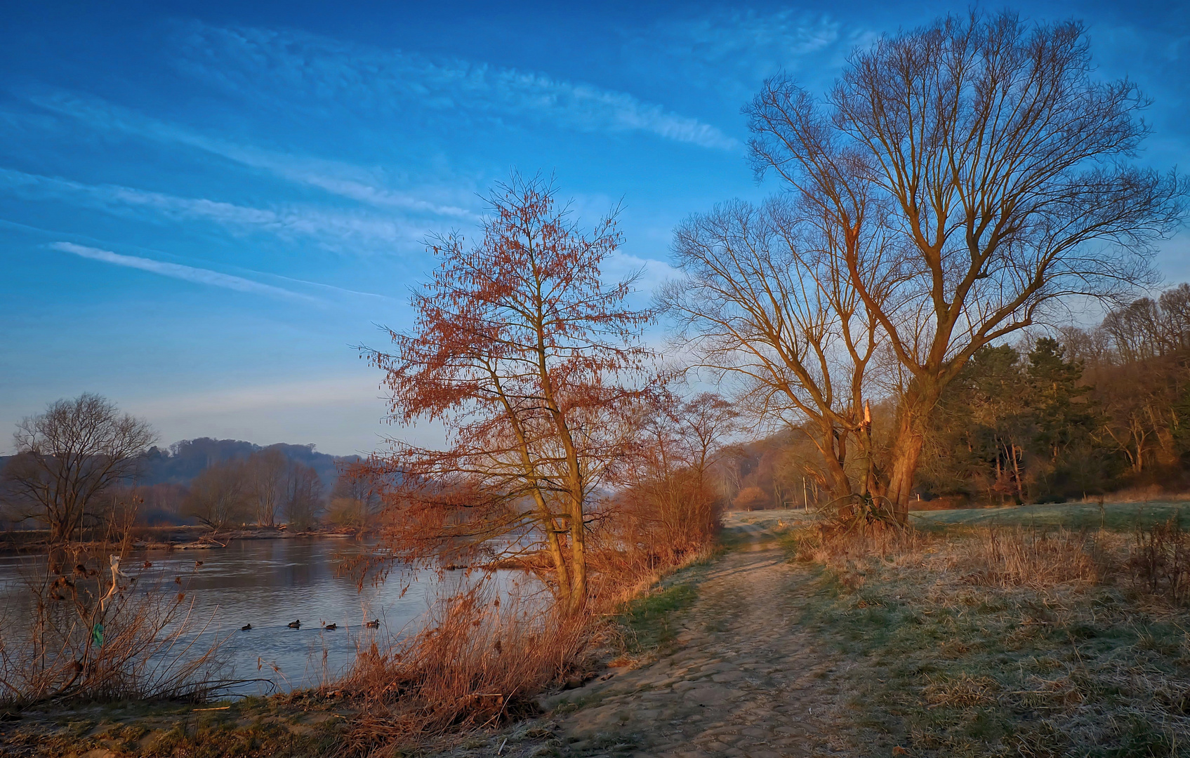 Ein sonniger Februarmorgen an der Ruhr