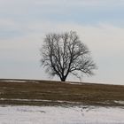 Ein sonniger Februarmorgen