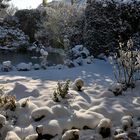 Ein sonniger Gruß zum 2. Advent aus dem winterlichen Neuss