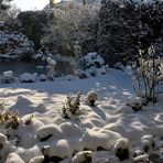 Ein sonniger Gruß zum 2. Advent aus dem winterlichen Neuss