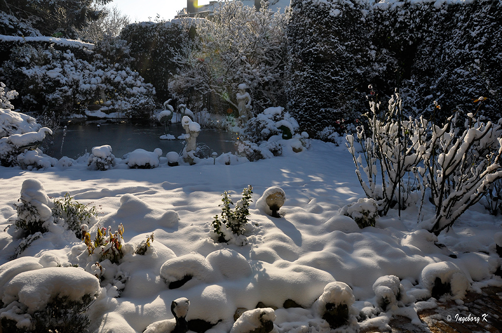 Ein sonniger Gruß zum 2. Advent aus dem winterlichen Neuss