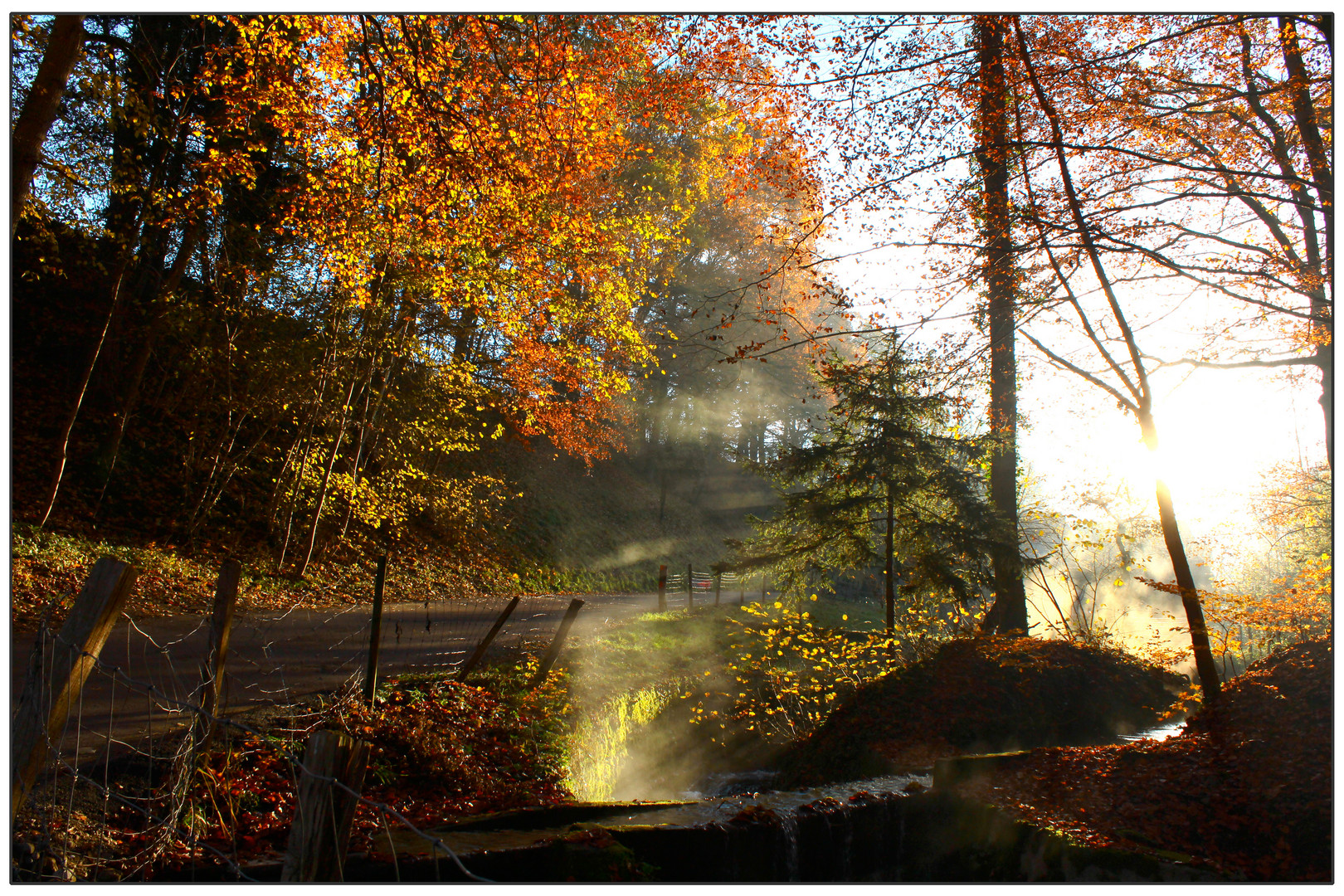 Ein sonniger Herbstmorgen im Mühlital (Münsingen BE)