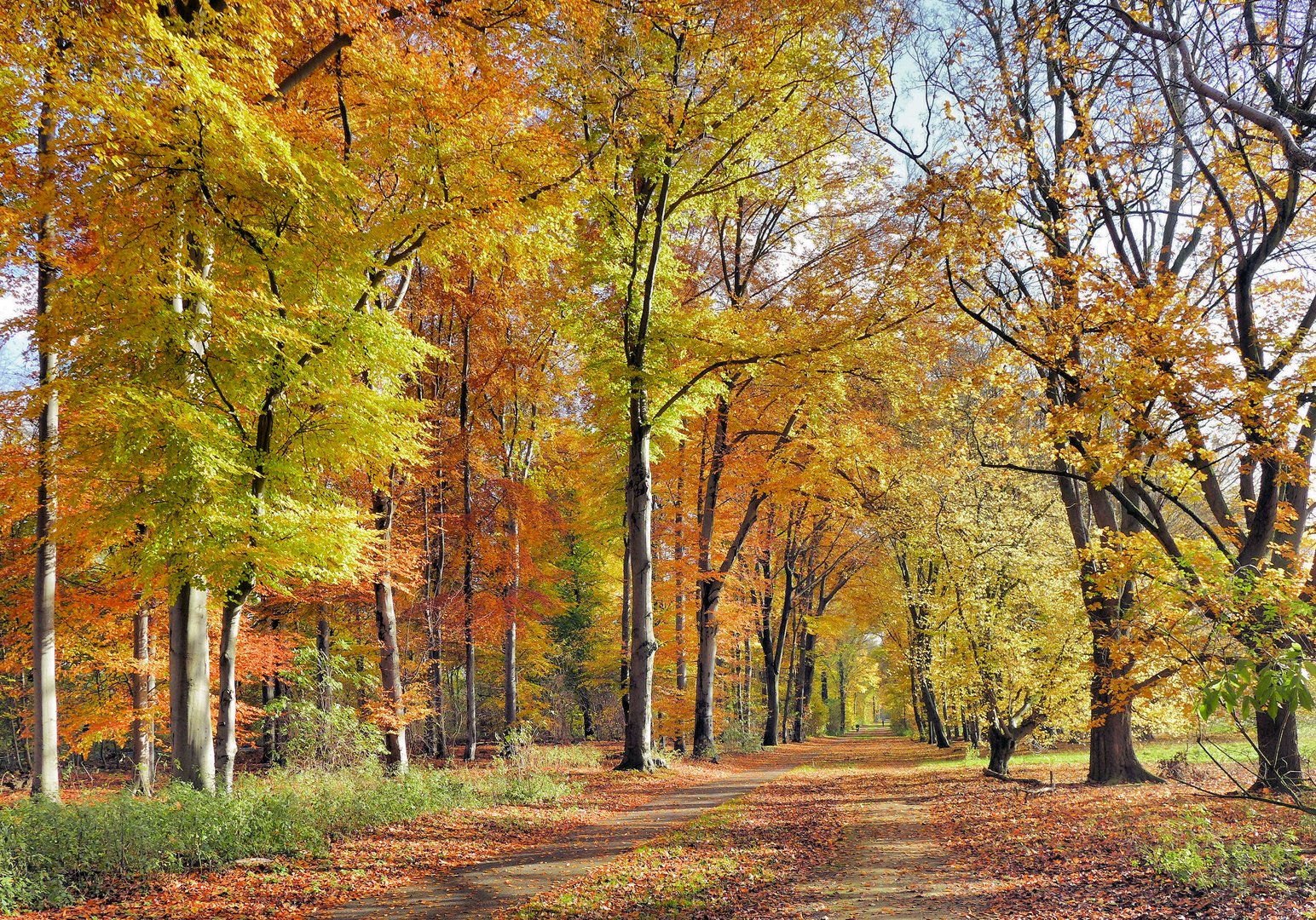 Ein sonniger Herbsttag