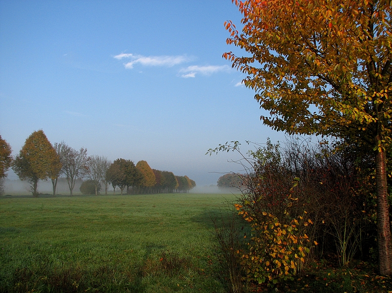 Ein sonniger Herbsttag