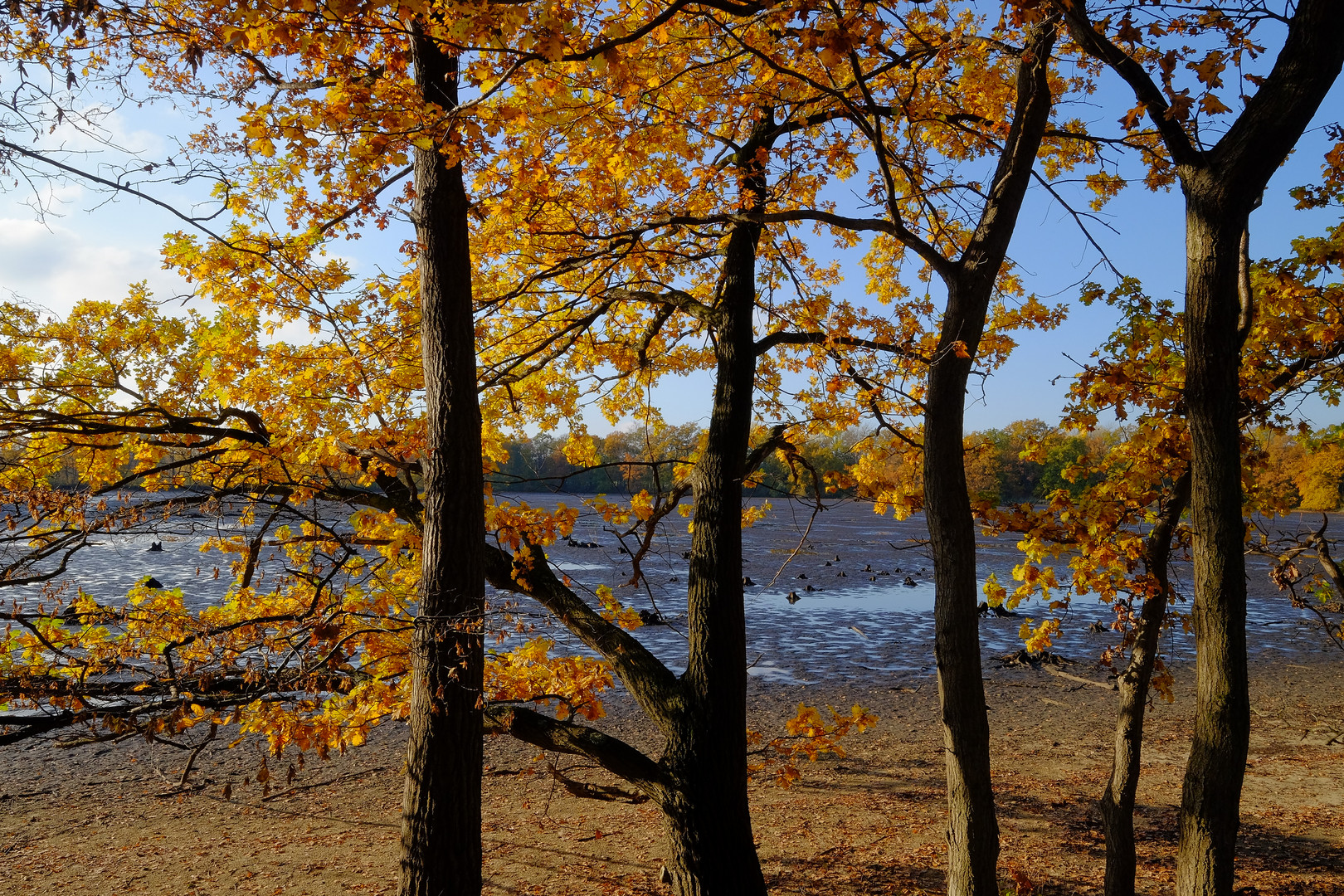 ...ein sonniger Herbsttag....