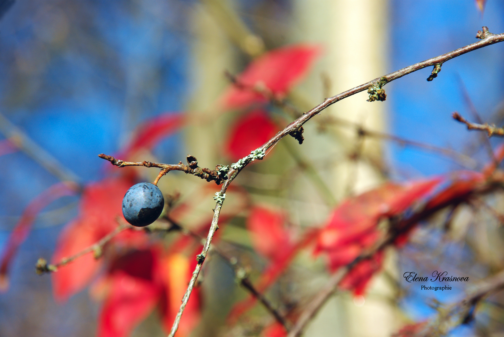 Ein sonniger Herbsttag