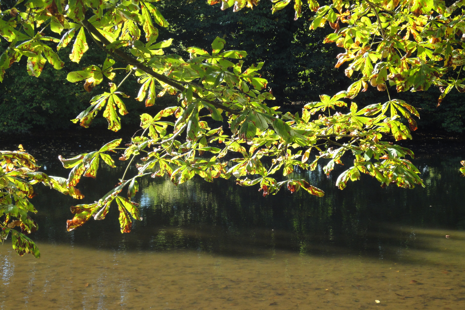 Ein sonniger Herbsttag