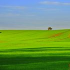 Ein sonniger Herbsttag