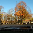 ein sonniger Herbsttag - Allerheiligen 2008 in München