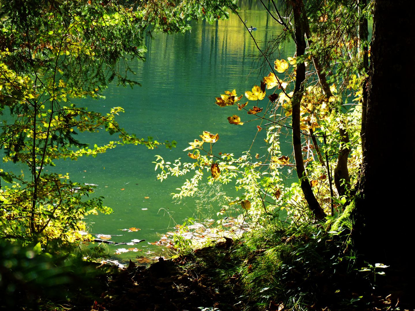 Ein sonniger Herbsttag am Hintersee