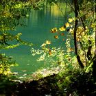 Ein sonniger Herbsttag am Hintersee