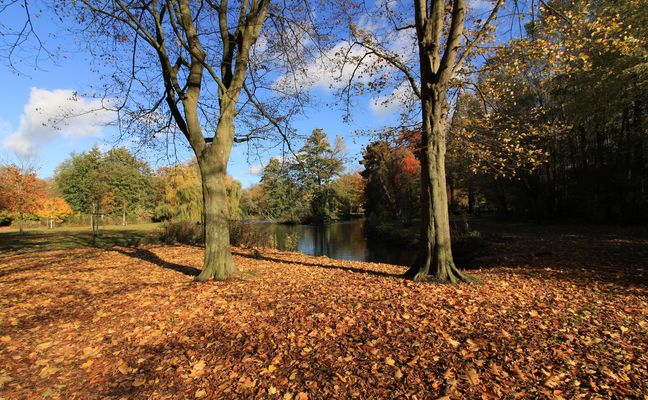 Ein sonniger Herbsttag an der Niers