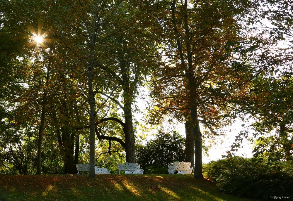 Ein sonniger Herbsttag auf der Insel Mainau