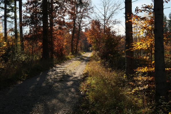 ein sonniger Herbsttag