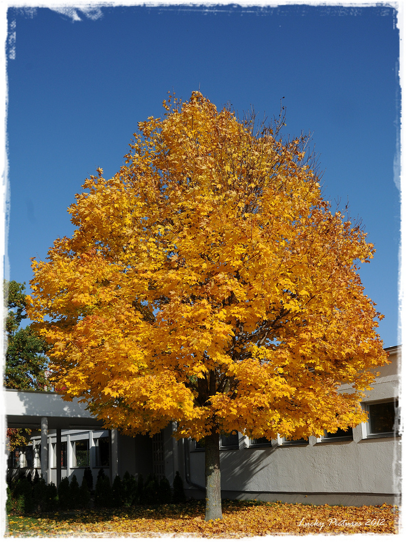 ein sonniger Herbsttag