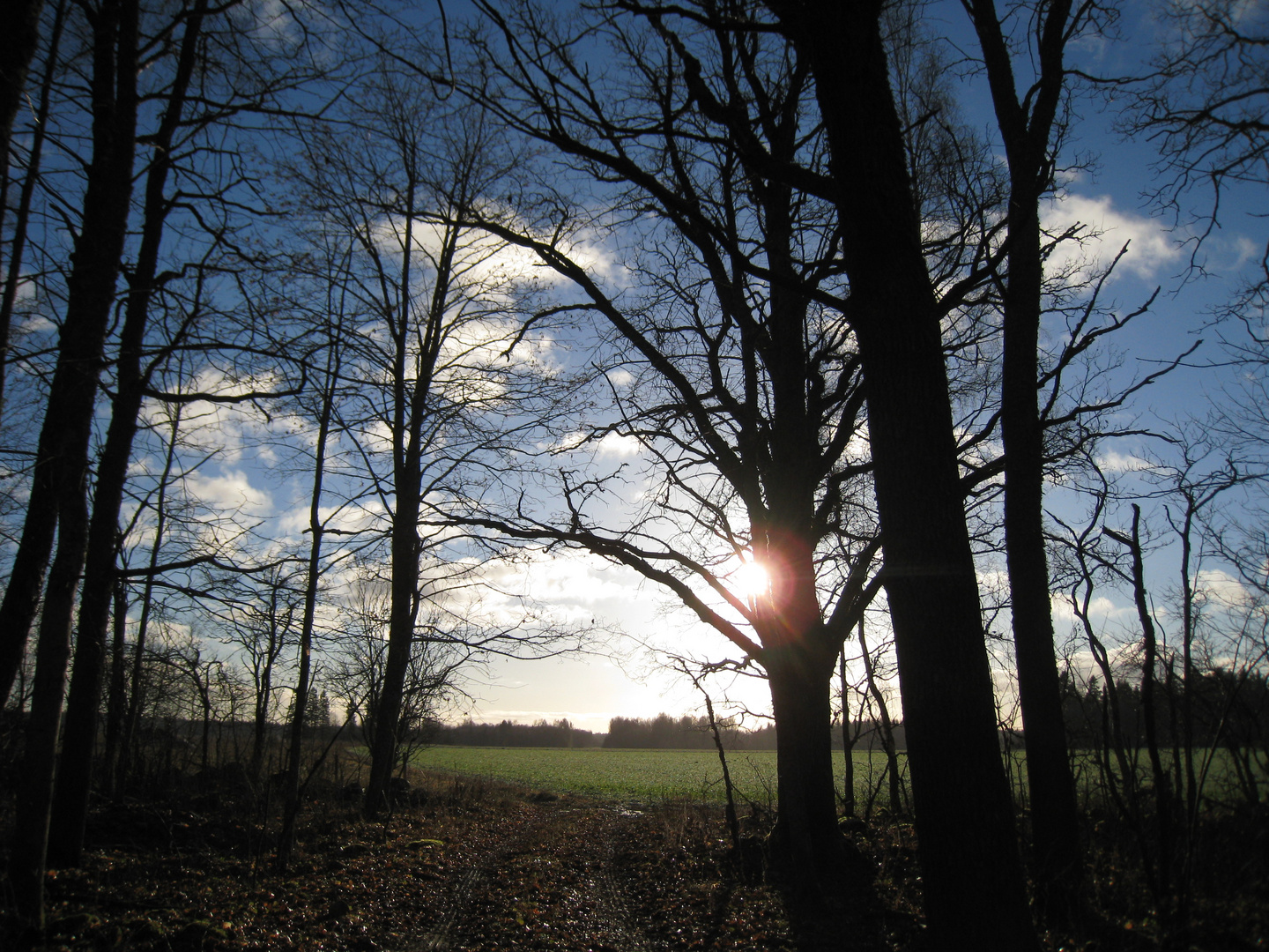 Ein sonniger Herbsttag