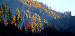 Ein sonniger Herbsttag im Ötscherland