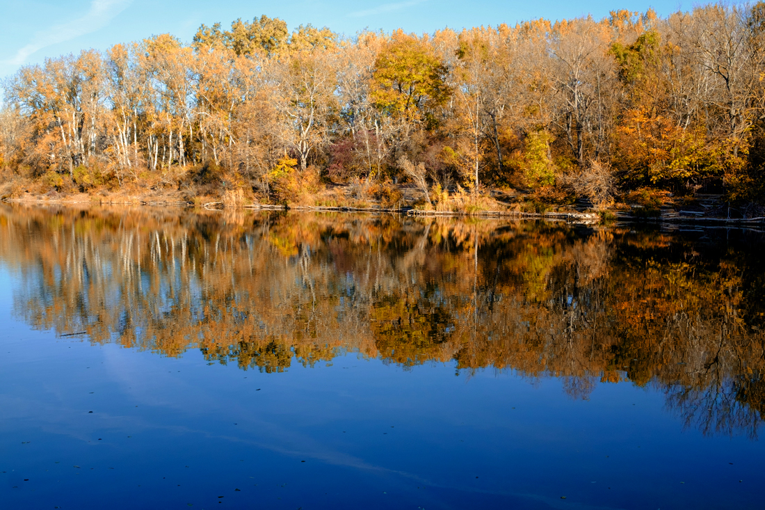 Ein sonniger Herbsttag in der Lobau