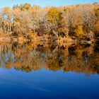 Ein sonniger Herbsttag in der Lobau