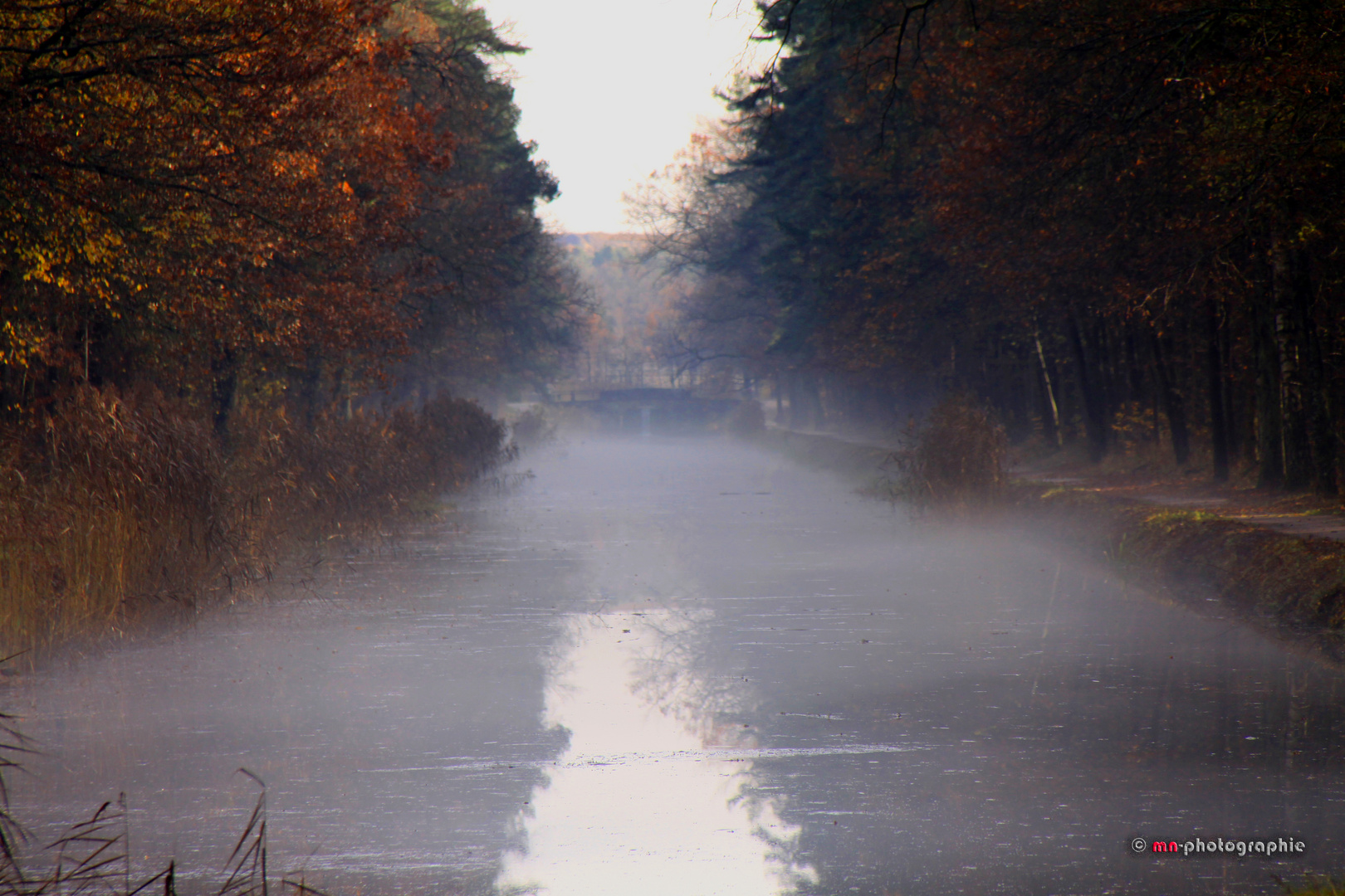 Ein sonniger Herbsttag mit Nebel