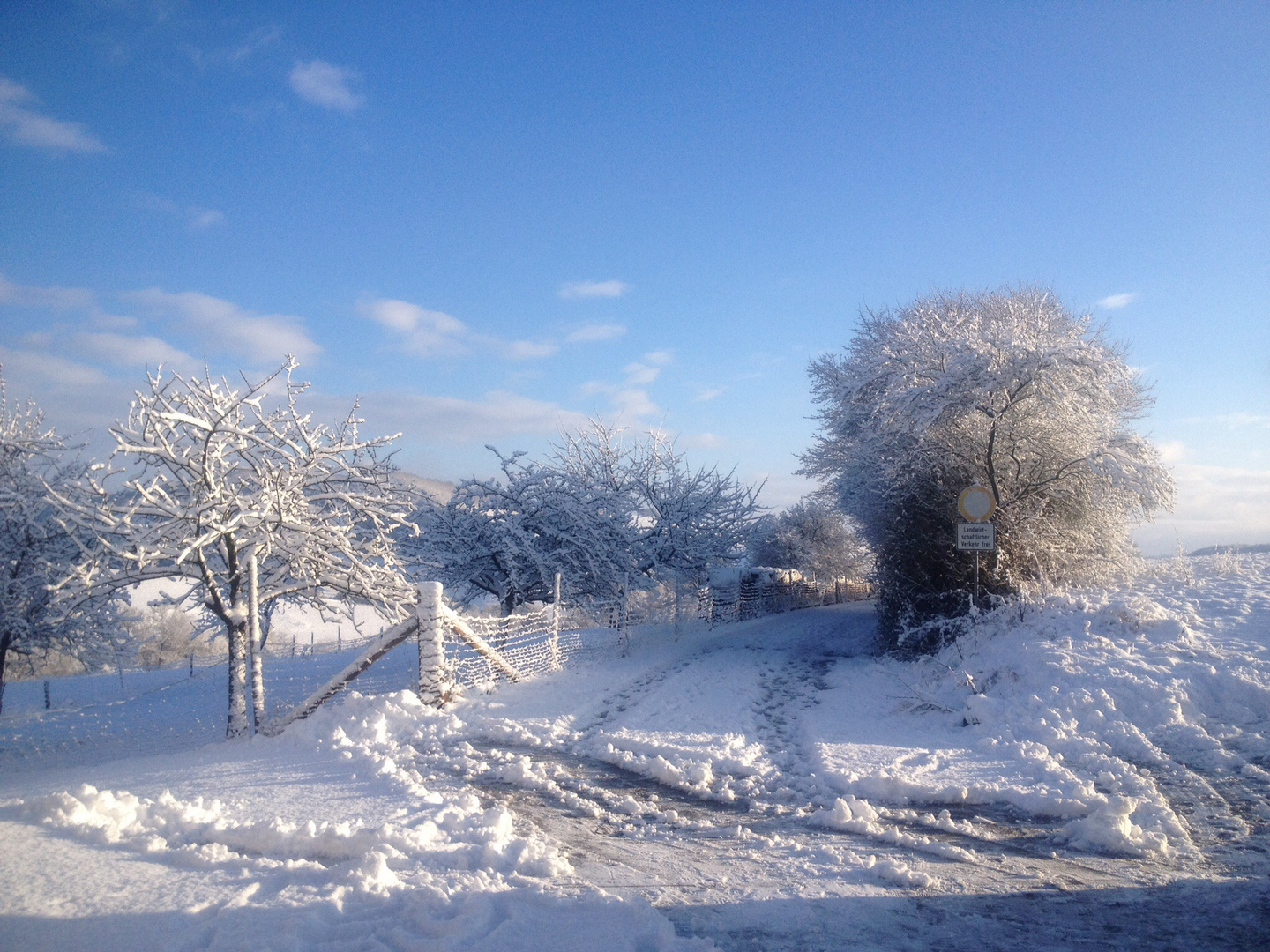 Ein sonniger Januar Sonntag