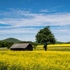 Ein sonniger Maitag