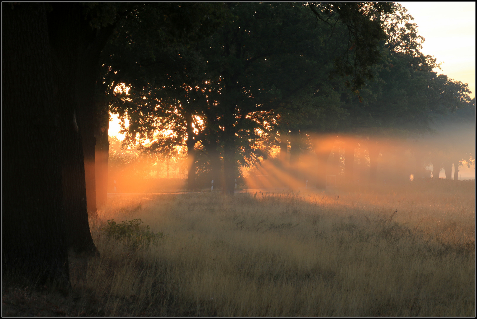 Ein sonniger Morgen