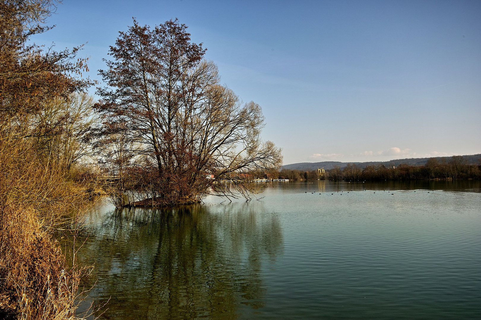 Ein sonniger Morgen am Freizeitsee.