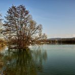 Ein sonniger Morgen am Freizeitsee.