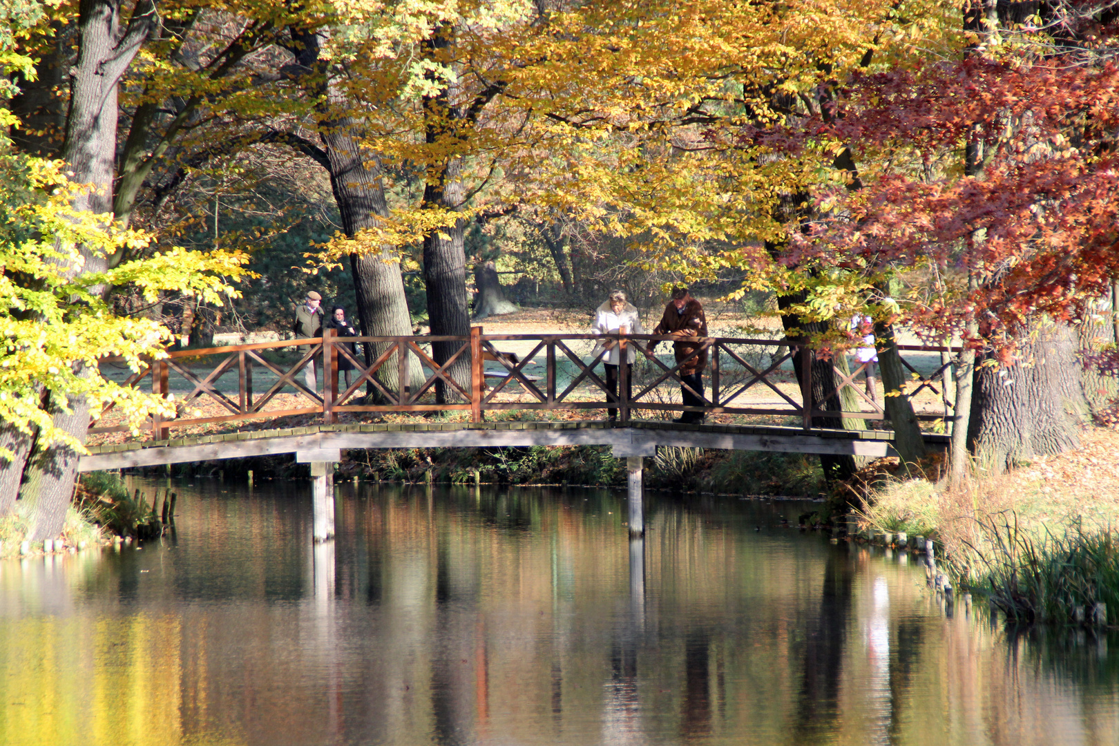 Ein sonniger Nachmittag am 31. 10. im Branitzer Park bei Cottbus