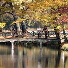 Ein sonniger Nachmittag am 31. 10. im Branitzer Park bei Cottbus