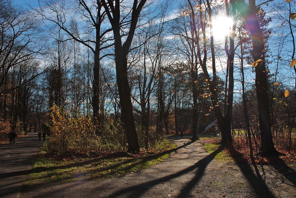 Ein sonniger Nachmittag im November