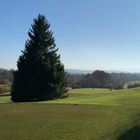 Ein sonniger Novembertag