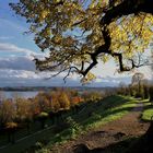 Ein sonniger Novembertag am Starnberger See