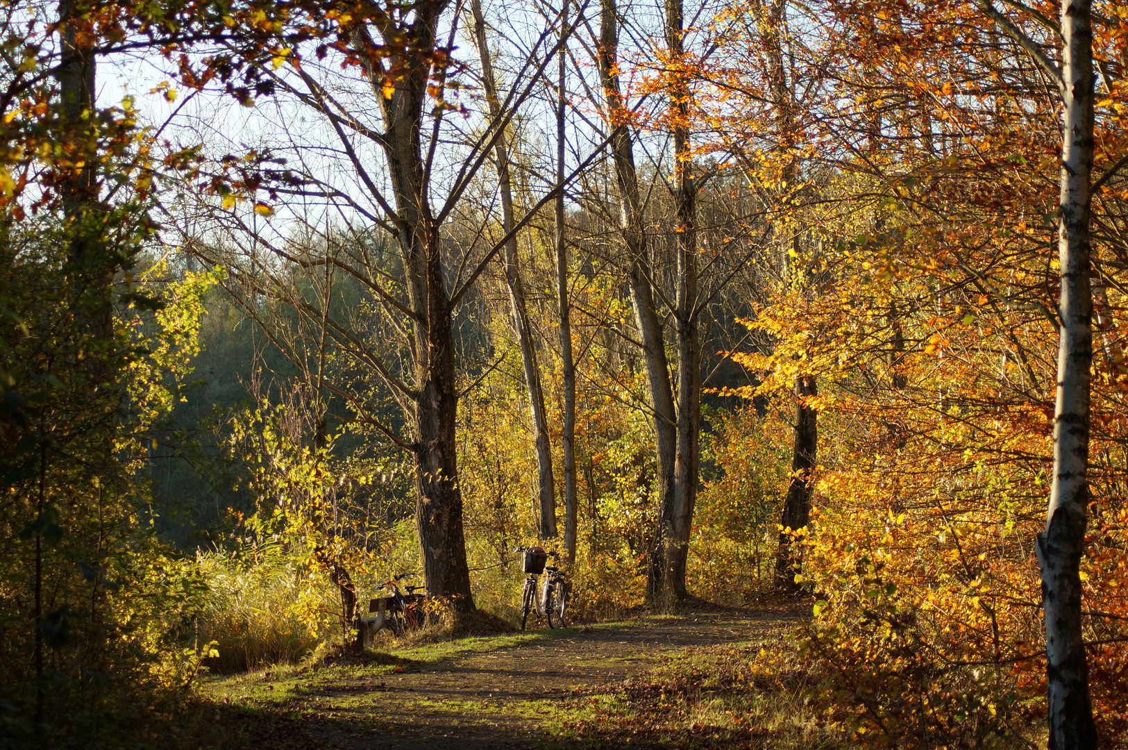 Ein sonniger Novembertag