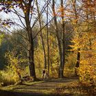 Ein sonniger Novembertag