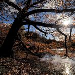 Ein sonniger Novembertag