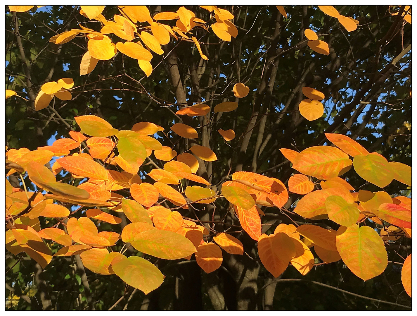 Ein sonniger Oktobertag